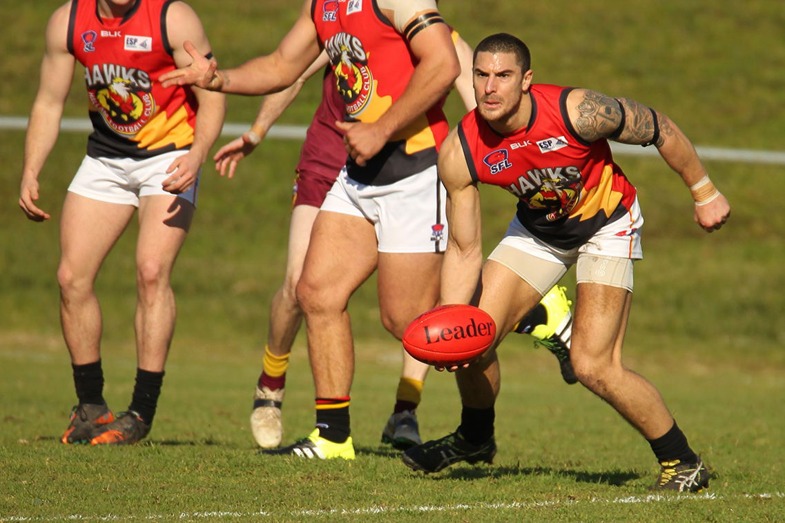 The Hawks surprised many with it's stunning improvement from cellar-dweller to flag contender.